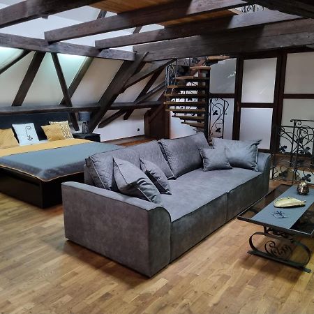 Galerie Vila Lucia 5 -Loft Apartman Plzen Ngoại thất bức ảnh