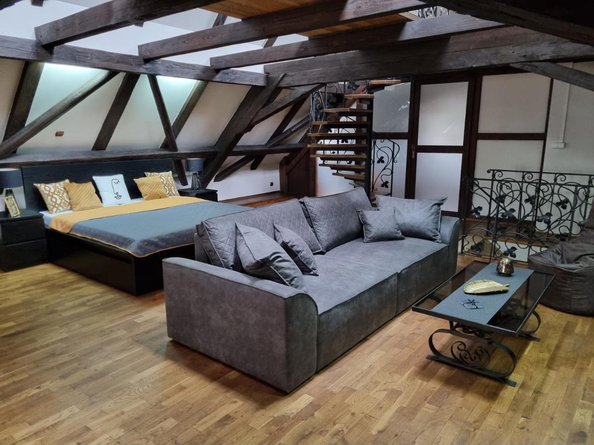 Galerie Vila Lucia 5 -Loft Apartman Plzen Ngoại thất bức ảnh