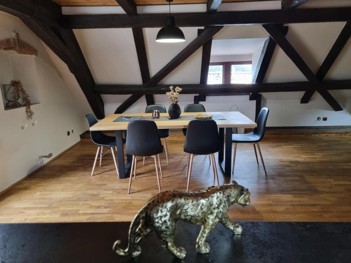 Galerie Vila Lucia 5 -Loft Apartman Plzen Ngoại thất bức ảnh