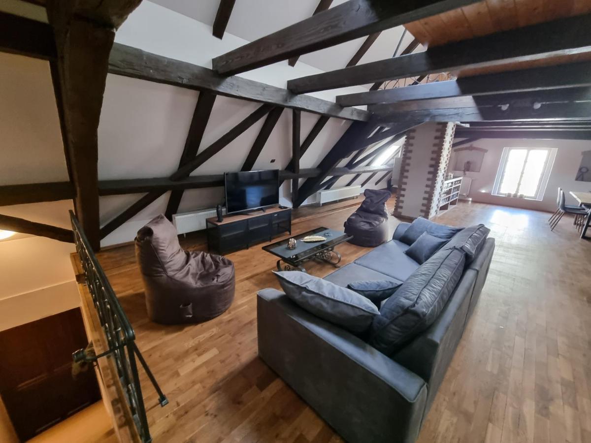 Galerie Vila Lucia 5 -Loft Apartman Plzen Ngoại thất bức ảnh
