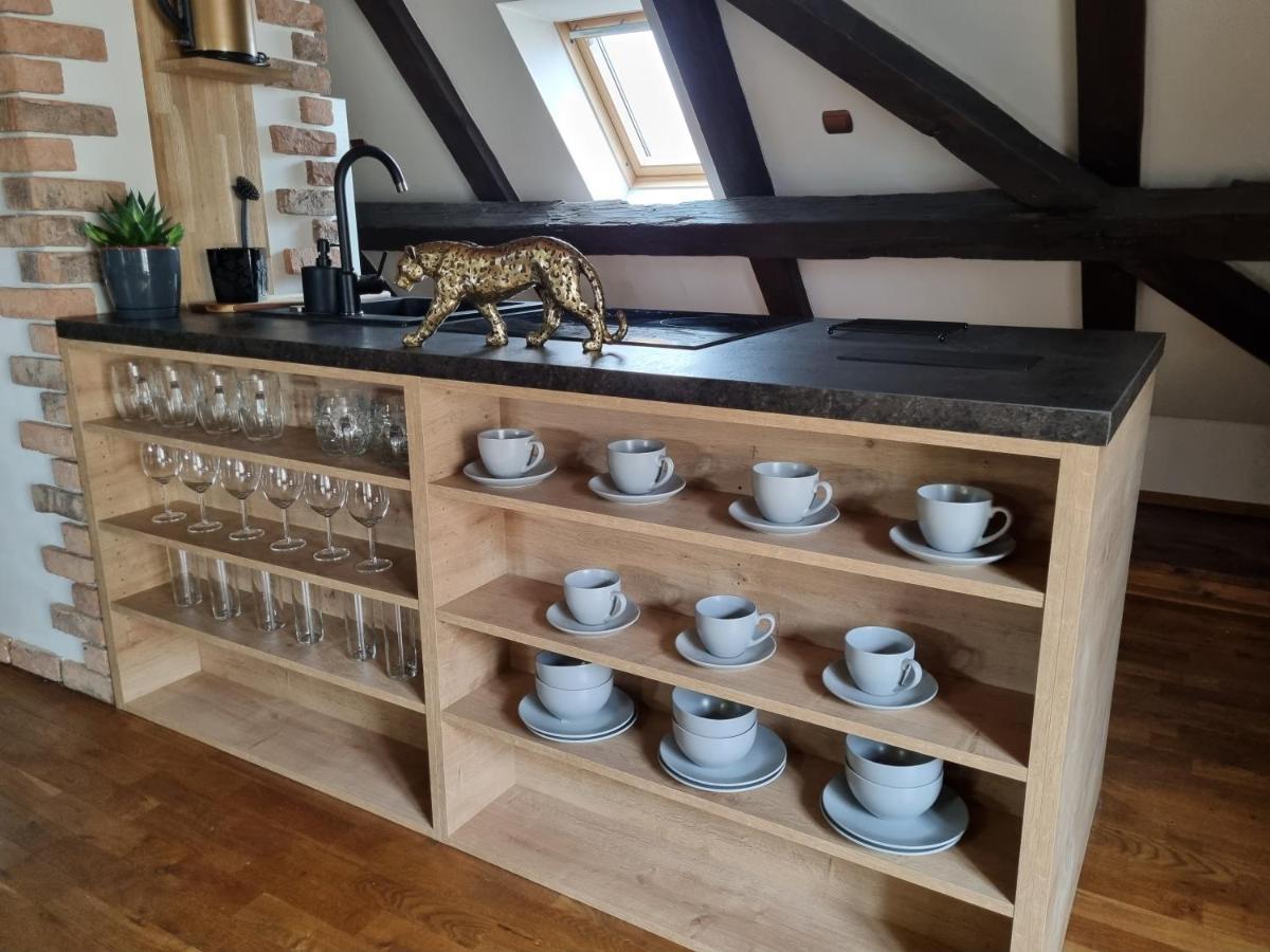 Galerie Vila Lucia 5 -Loft Apartman Plzen Ngoại thất bức ảnh