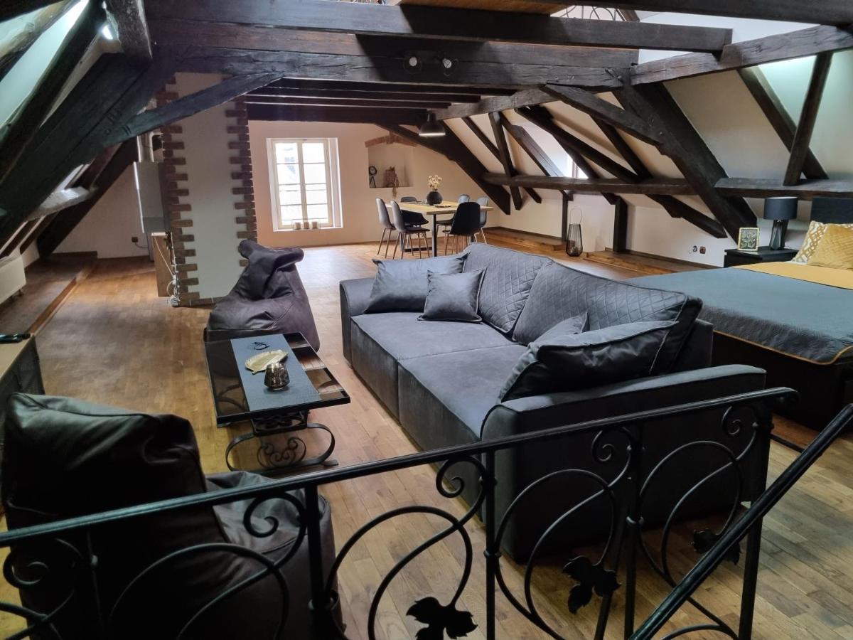 Galerie Vila Lucia 5 -Loft Apartman Plzen Ngoại thất bức ảnh