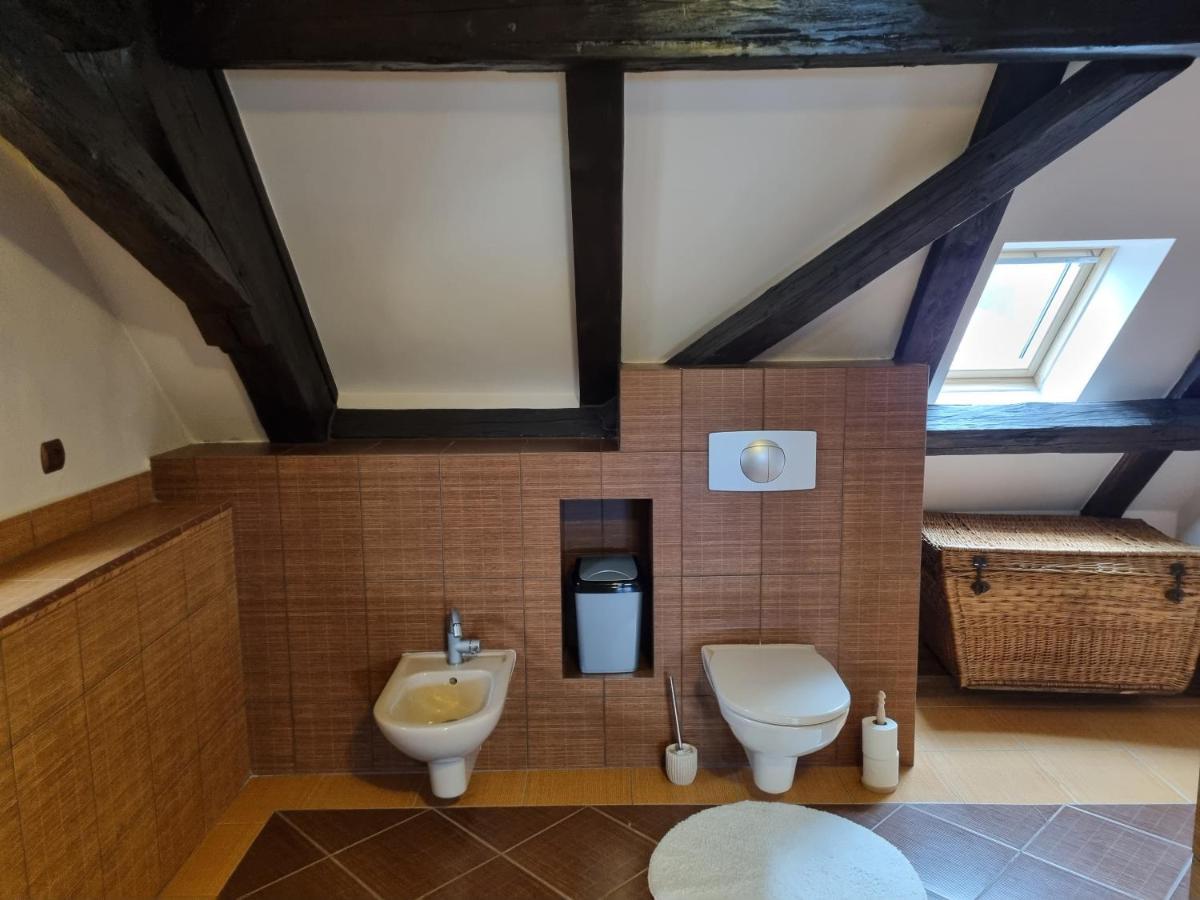 Galerie Vila Lucia 5 -Loft Apartman Plzen Ngoại thất bức ảnh